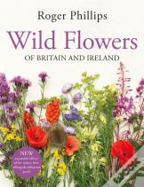 Wild Flowers