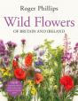 Wild Flowers - Preview