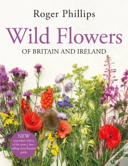 Capa do artigo Wild Flowers