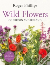 Capa do artigo Wild Flowers