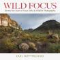 Wild Focus - Preview