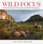 Wild Focus - Preview