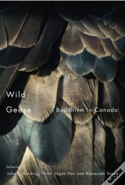 Capa do artigo Wild Geese