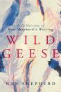 Wild Geese - Preview
