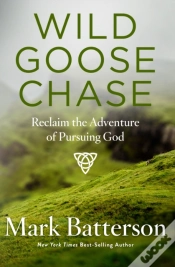 Capa do artigo Wild Goose Chase