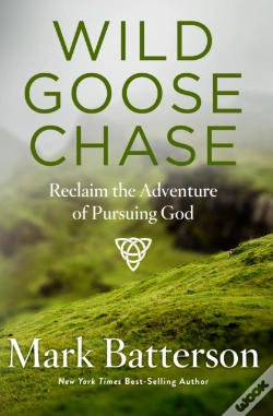 Capa do artigo Wild Goose Chase
