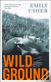 Capa do artigo Wild Ground
