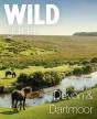 Wild Guide Devon & Dartmoor - Preview