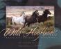 Wild Hoofbeats - Preview