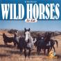 Wild Horses For Kids - Preview