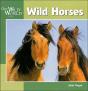 Wild Horses - Preview