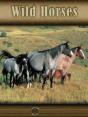 Wild Horses - Preview