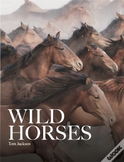 Capa do artigo Wild Horses