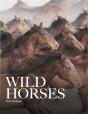 Wild Horses - Preview