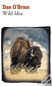 Capa do artigo Wild Idea