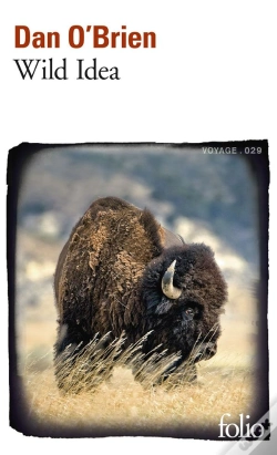 Capa do artigo Wild Idea