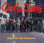 Wild in the Streets - Vinil - Preview