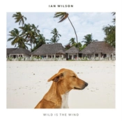 Capa do artigo Wild Is the Wind - CD
