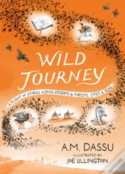 Capa do artigo Wild Journey