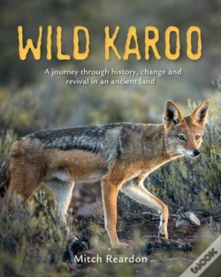 Capa do artigo Wild Karoo