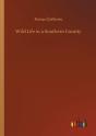 Wild Life In A Southern County - Preview