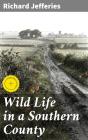 Wild Life In A Southern County - Preview