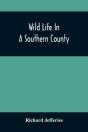Wild Life In A Southern County - Preview