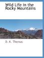 Wild Life In The Rocky Mountains - Preview