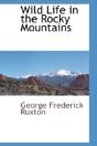Wild Life In The Rocky Mountains - Preview
