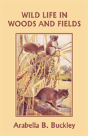 Wild Life In Woods And Fields (Yesterday'S Classics) - Preview