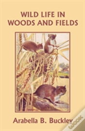 Capa do artigo Wild Life In Woods And Fields (Yesterday