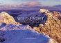 Wild Light - Preview
