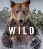 Wild Lives - Preview