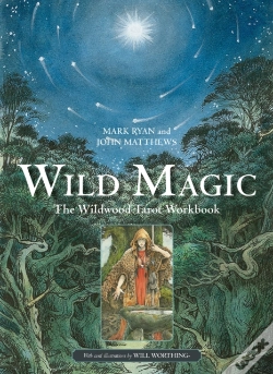 Capa do artigo Wild Magic