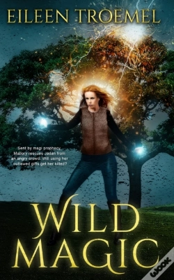 Capa do artigo Wild Magic