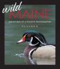 Wild Maine - Preview