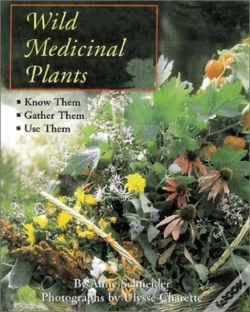 Capa do artigo Wild Medicinal Plants