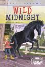 Wild Midnight - Preview