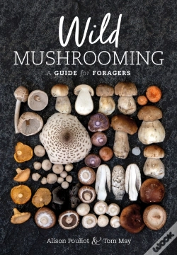 Capa do artigo Wild Mushrooming