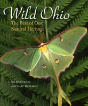Wild Ohio - Preview