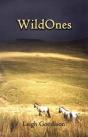 Wild Ones - Preview
