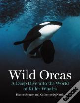 Wild Orcas