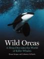 Wild Orcas - Preview