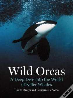 Capa do artigo Wild Orcas