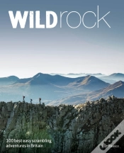 Capa do artigo Wild Rock