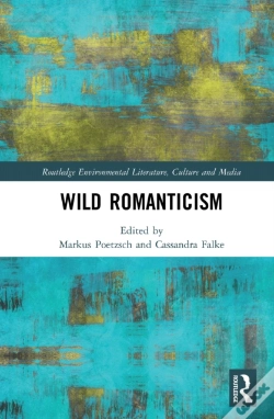Capa do artigo Wild Romanticism
