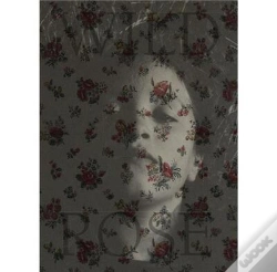 Capa do artigo Wild Rose