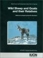 Wild Sheep And Goats And Their Relatives - Preview