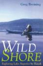 Wild Shore - Preview