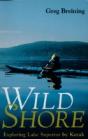 Wild Shore - Preview